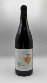 Chinon - Domaine Fabrice Gasnier "La Queue de Poëlon" 2012