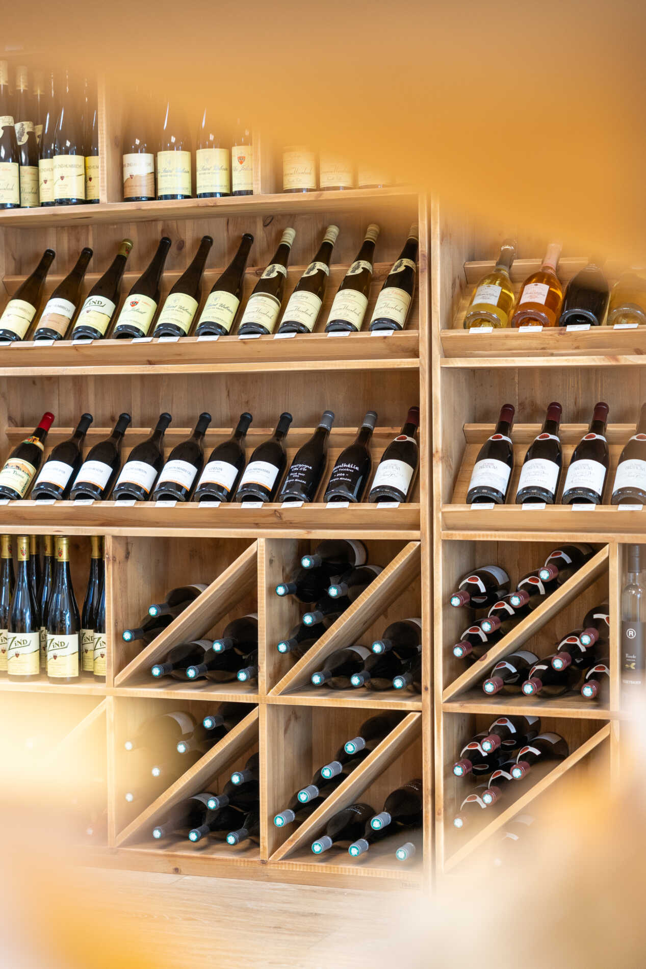 Epice fine Chinon (57)